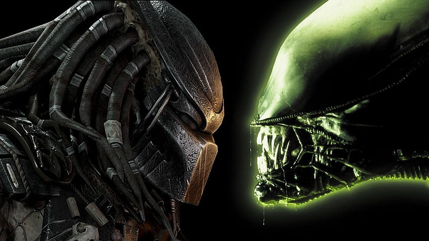 Aliens vs Predator, AVP HD wallpaper