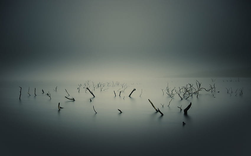 Foggy Lake – Francois Gelinas graphies, Zen Lake HD wallpaper