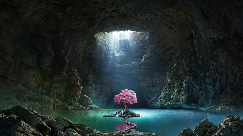Pink tree, blossom, cave, lake, nature HD wallpaper