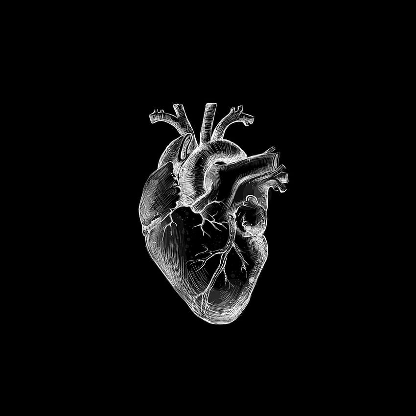 Schwarzes Herz. Dunkles iPhone, schwarzes Herz, medizinisch HD-Handy-Hintergrundbild