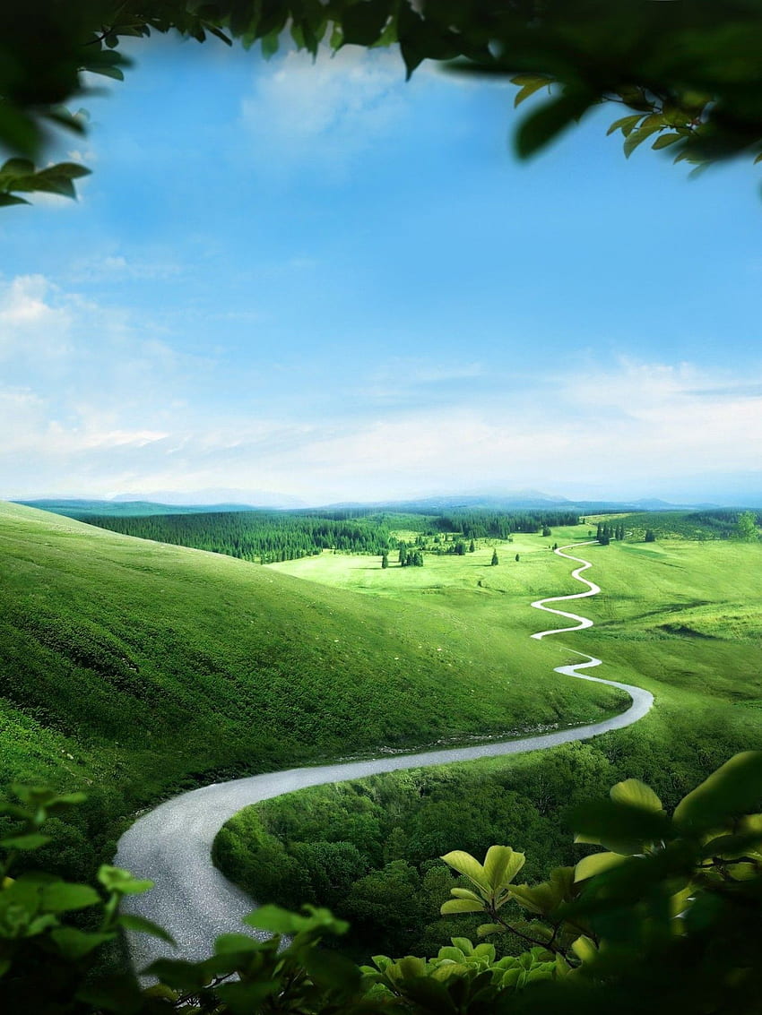 Grass, Hill, Sky, Trees, Field for Apple iPad Mini, Apple IPad 3, 4 HD phone wallpaper