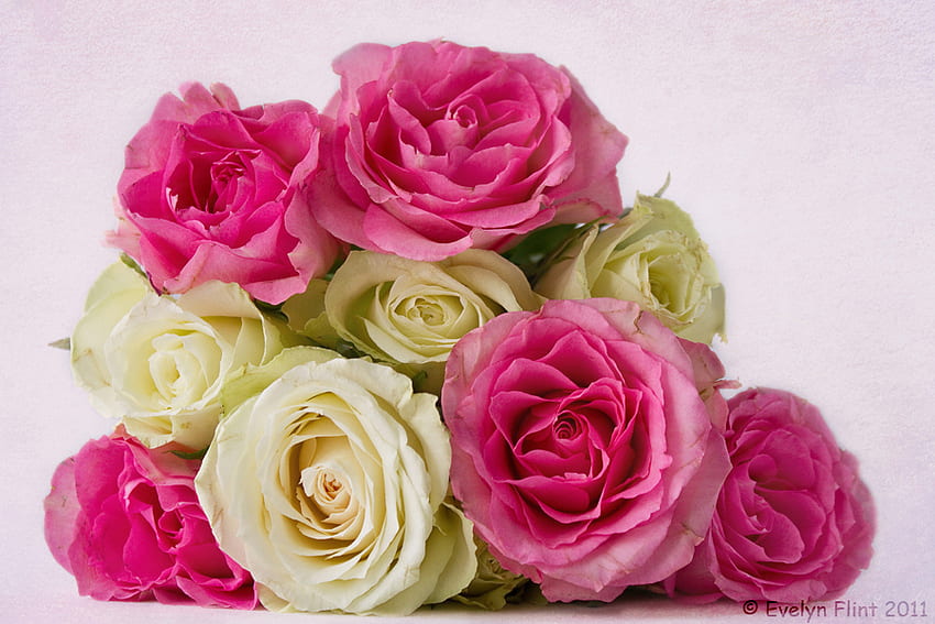 Bunch of Roses, still life, bunch, bouquet, roses HD wallpaper