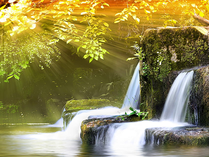 wodospady, światło słoneczne, skały, piękno, mokro, promienie słoneczne, jasne, drzewa, natura, wodospad, woda, słońce, las Tapeta HD