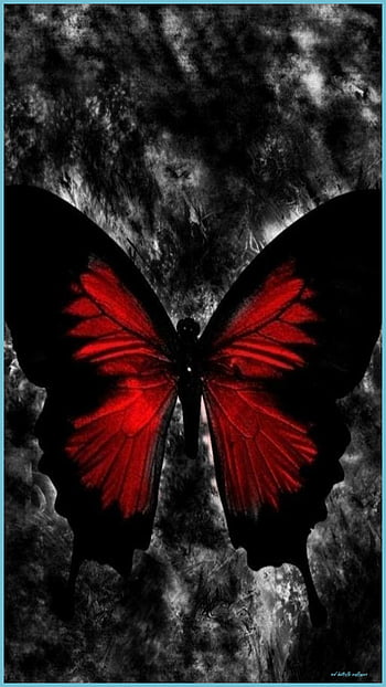 gothic butterfly