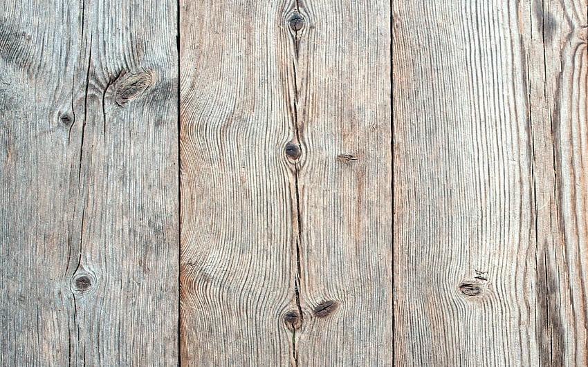 grauer Holzhintergrund, vertikale Holzplankenstruktur, Holzstruktur, Holzhintergrund, Bretterhintergrund HD-Hintergrundbild