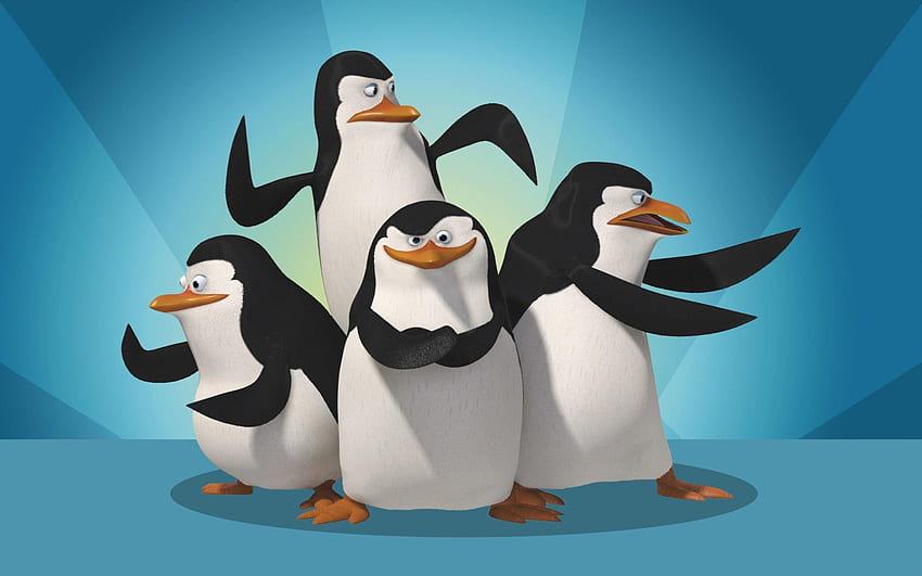 เพนกวินแห่งมาดากัสการ์ เพนกวินแห่งมาดากัสการ์ วอลล์เปเปอร์ HD