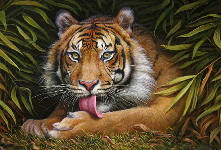 Hungry Tiger, animal, eyes, wild, tiger HD wallpaper