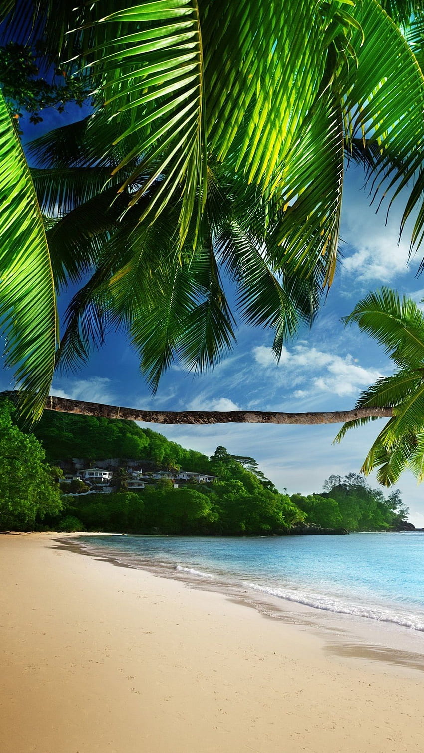 Compatible con iPhone. Playa, Hermosas playas, Playa paradisíaca, Playa caribeña iPhone fondo de pantalla del teléfono