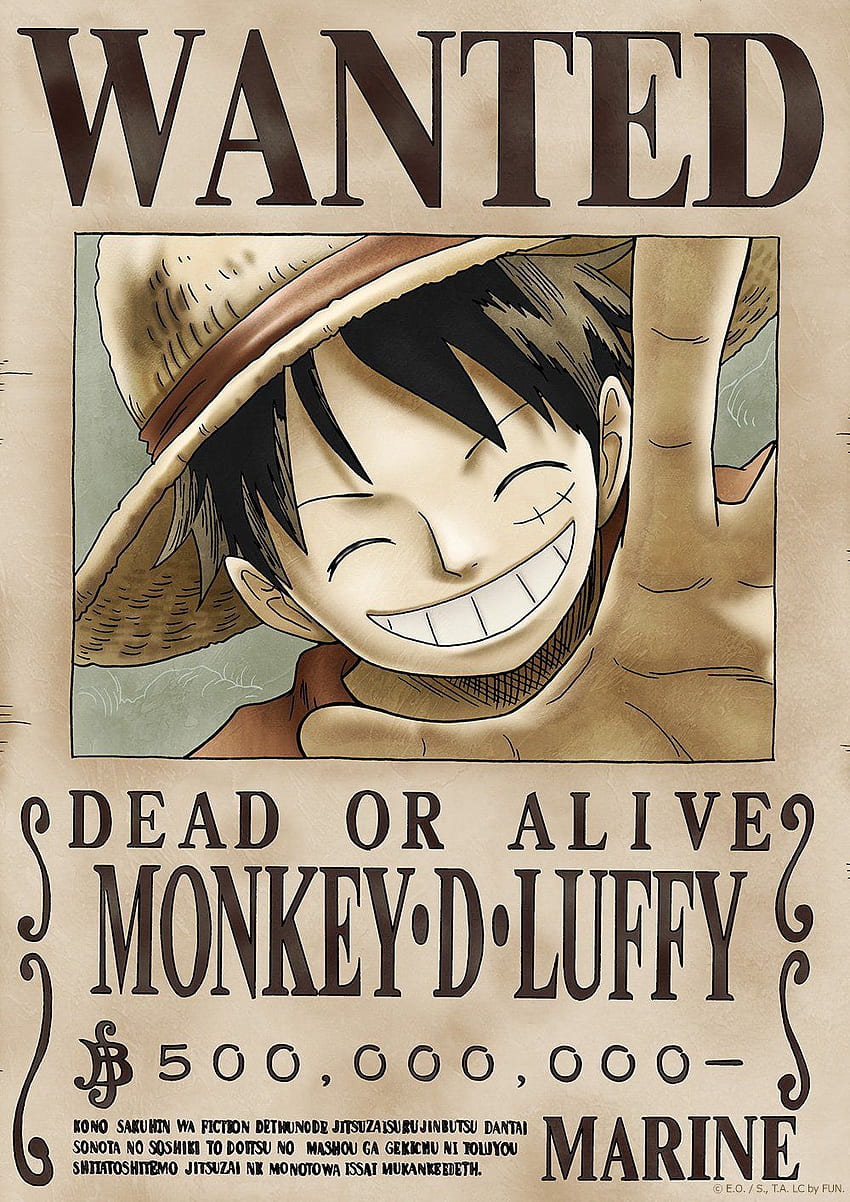 Tokiwa Corporation Anime ONE Piece Official Licensed Wanted Poster: New World : Home & Kitchen HD phone wallpaper