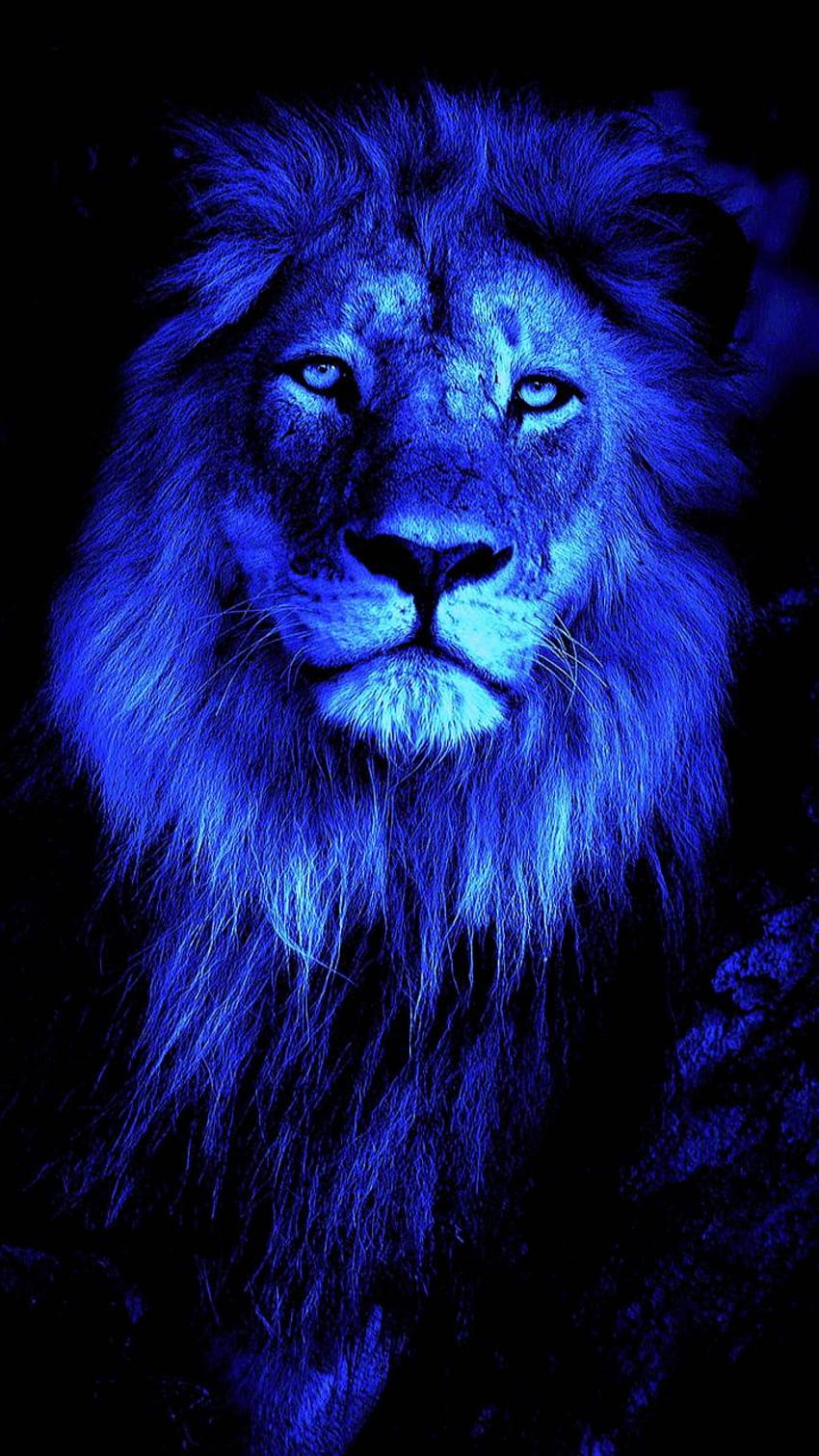 Lion Criskeen, Brave Lion HD phone wallpaper