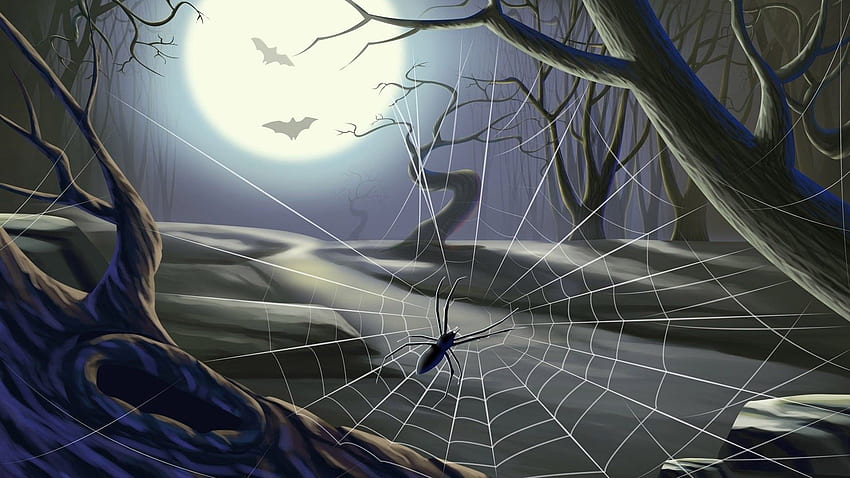 Spinnennetz-Hintergrund, Cartoon-Spinnennetz HD-Hintergrundbild