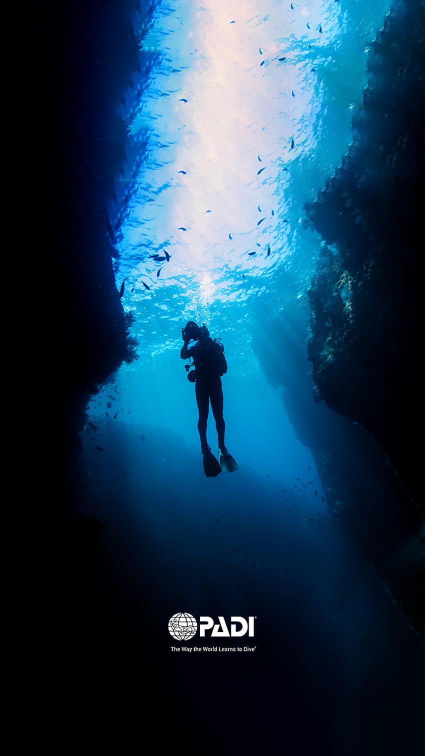 Immersioni subacquee - Immersioni subacquee iPhone -, Diver Sfondo del telefono HD