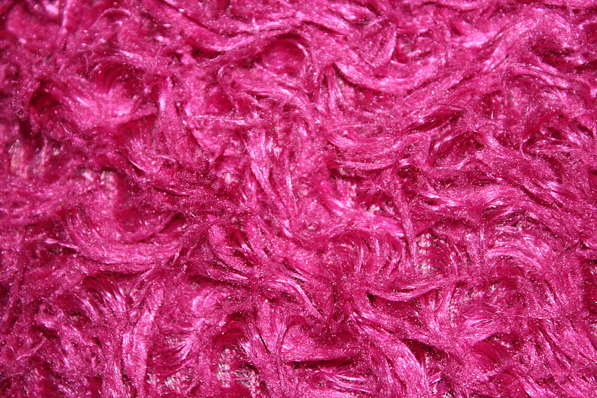 Bulu Merah Muda Fuchsia Besar Wallpaper HD