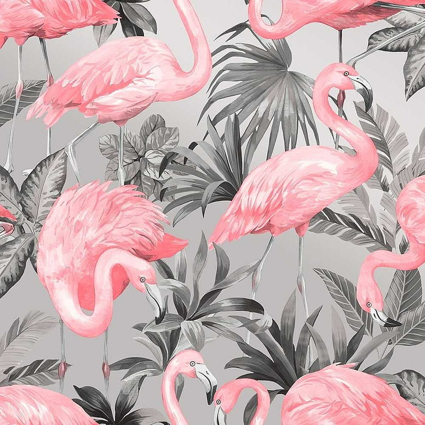 Flamingo, Pink Flamingo Laptop HD phone wallpaper