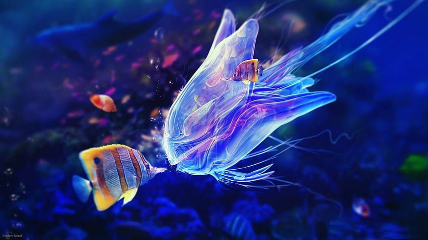 Beautiful Sea Creatures -, Deep Sea Creatures HD wallpaper