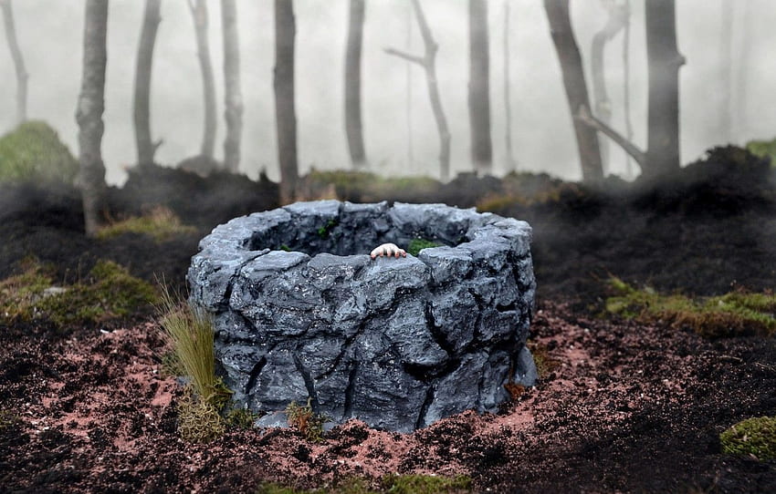 Wald, Nebel, Spielzeug, Hand, Brunnen, Der Ring, Opfergabe, Sadako Yamamura HD-Hintergrundbild