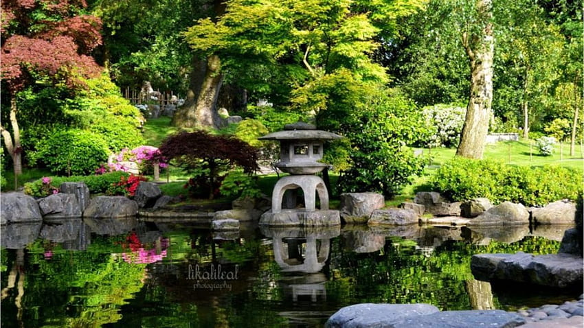Parco divertimenti, fontana, alberi, giardino, kioto, natura, londra, lago, parco Sfondo HD