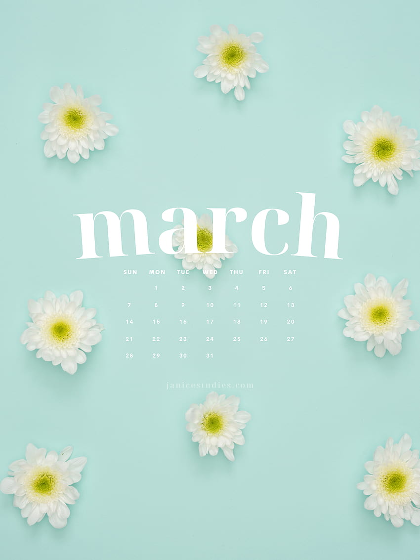 March 2021 – Janice Studies, March Flowers HD phone wallpaper | Pxfuel