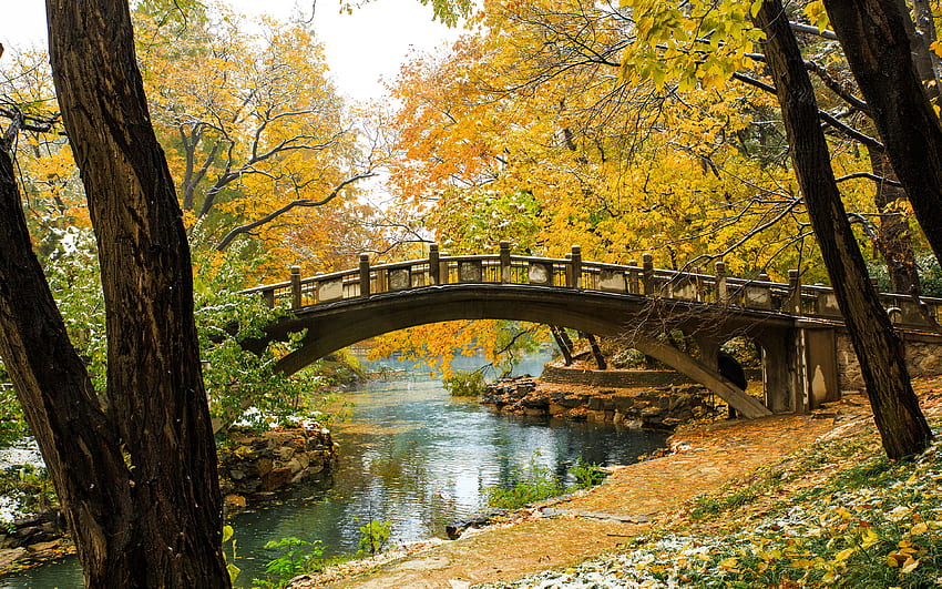Paint The Autumn Garden Old 300 Year Old In Summer Palace HD wallpaper