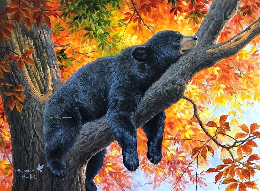 Есенни мечти, мечти, цветове, гори, картини, любов четири сезона, листа, мечка, животни, дървета, есен, природа, есенен сезон HD тапет
