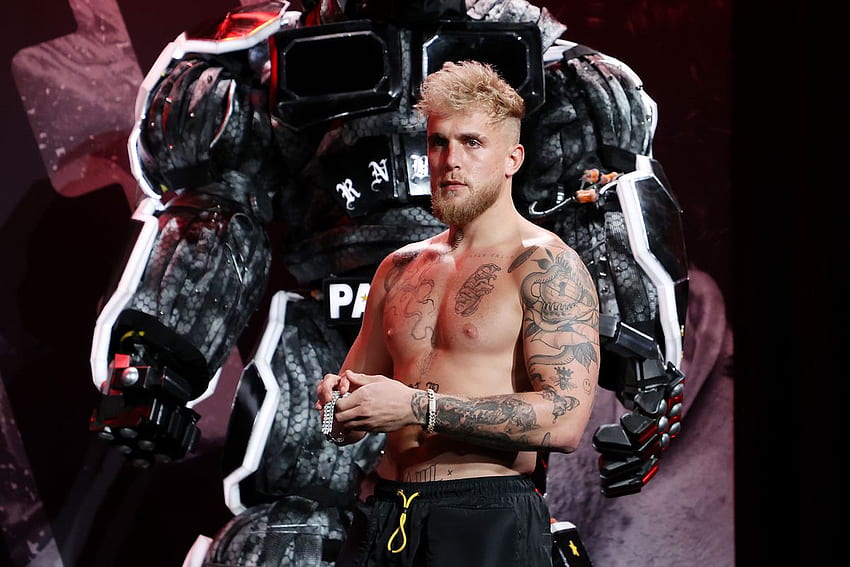 Celebrities, concerts, barely any boxing, Jake Paul Boxing HD wallpaper