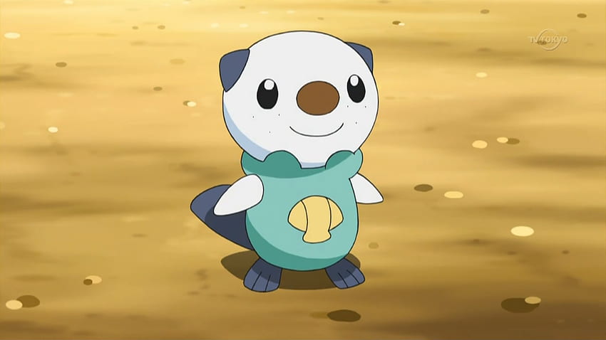 This captures oshawott's personality in one picture... : r/pokemon