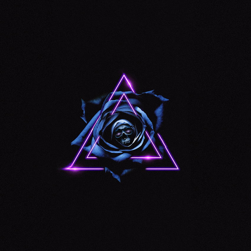 Skull, dark, triangles, blue rose, art HD phone wallpaper