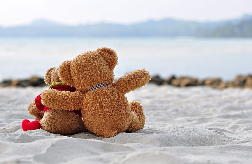 bear, toy, love, romance, teddy for the, Cute Romantic HD wallpaper
