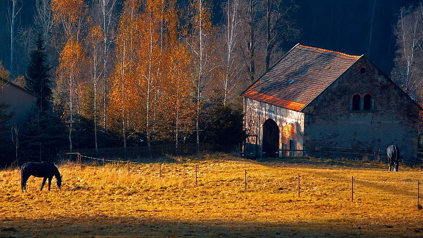 horses, Rustic, Farm, Barn, Landscapes, Buildings, Autumn, Fall, Cute Farm Landscapes HD wallpaper