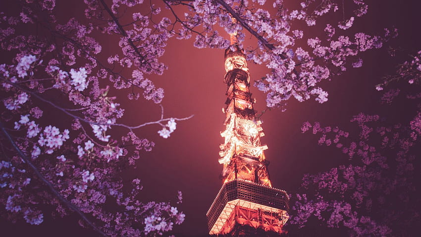 Tokyo Tower - high and amazing. Travel With Us. Tokyo tower, Eiffel tower, Cherry blossom background, Tokyo Sakura HD wallpaper