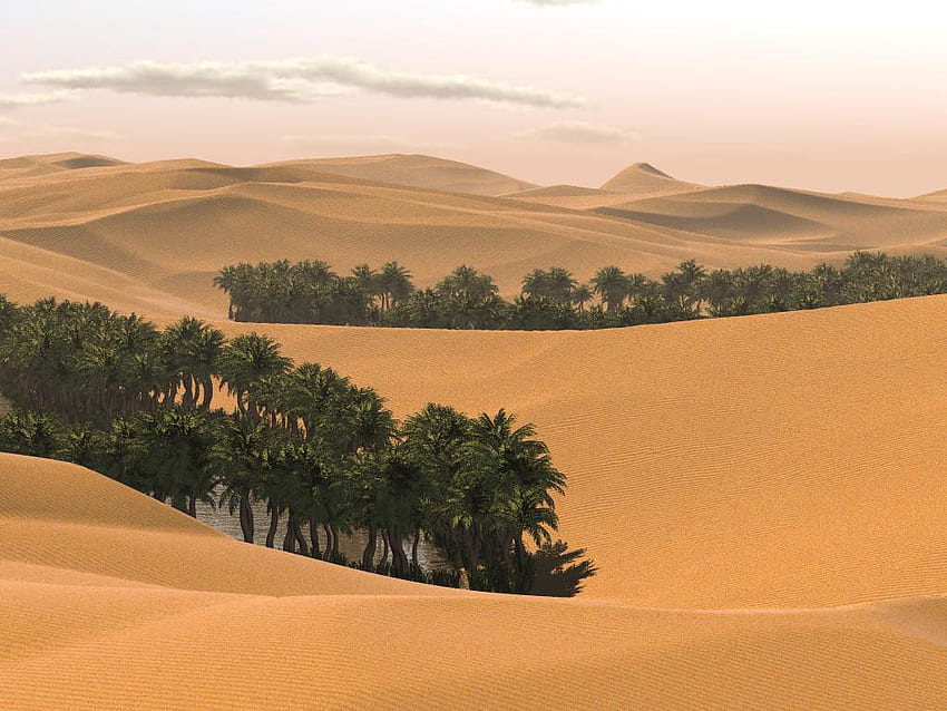 Arabian Desert Oasis , Instagram HD wallpaper