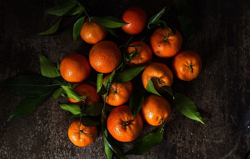 Leaves, the dark background, Tangerine HD wallpaper | Pxfuel