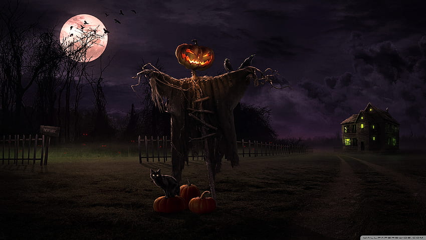 Halloween Background, Spooky Computer HD wallpaper