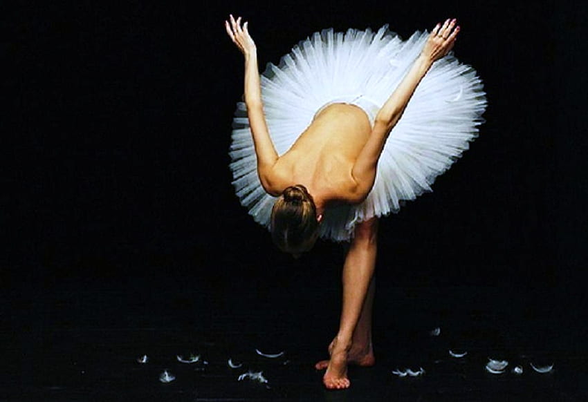 Swan lake bow, end of performance, white feathers on floorswan lake, ballerina, bow HD wallpaper