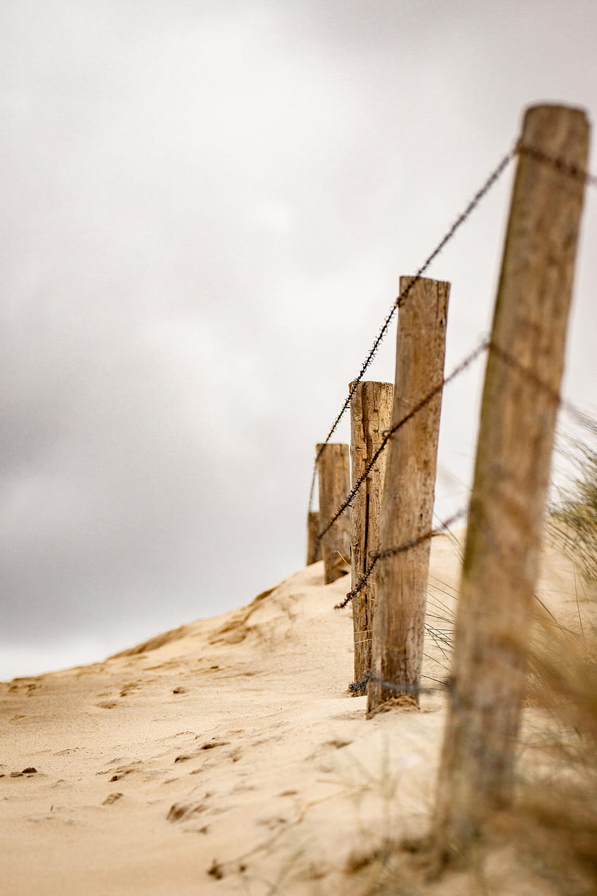 Nature, Sand, Desert, Wood, Wooden, Fence, Wire HD phone wallpaper