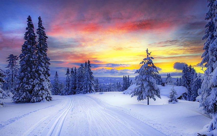 Winter Trees Snowy Road Sunset stock HD wallpaper