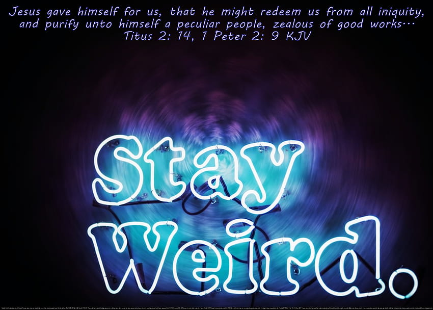Stay Weird, spiritual, happiness, fitness partner, joy, motivational, quotes, fun, neon sign, inspiring, work partner, coll, sick, weird, exercise partner, peculiar, religious, positive, love, heaven, off the chain, wisdom, uplifting, sayings HD wallpaper