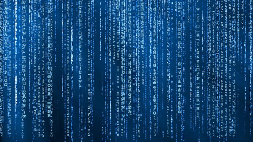 Matrix Background, Blue Coding HD wallpaper