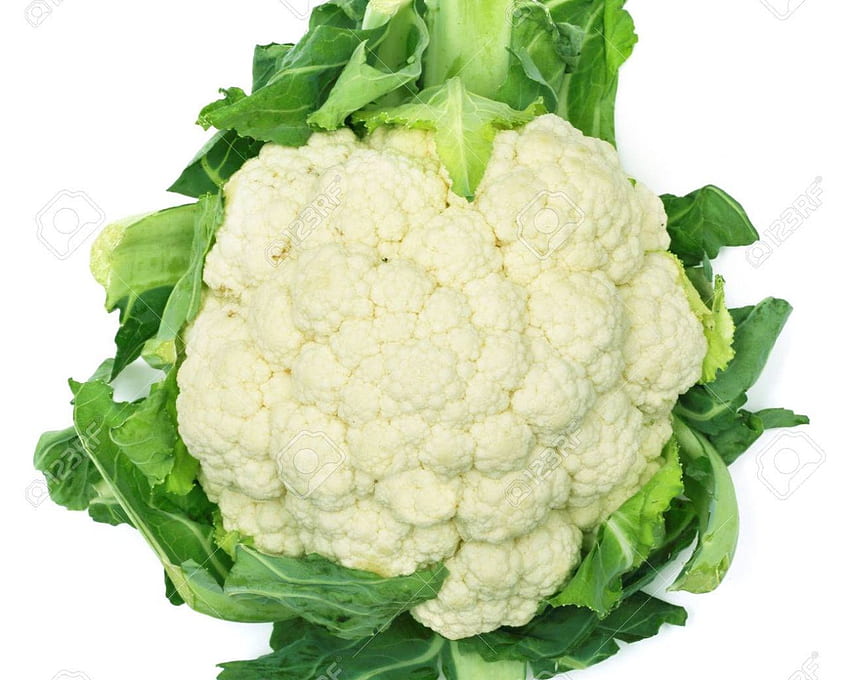 One Fresh Cauliflower Isolated On White Background Stock [] for your , Mobile & Tablet. Explore Cauliflower Background. Cauliflower Background HD wallpaper