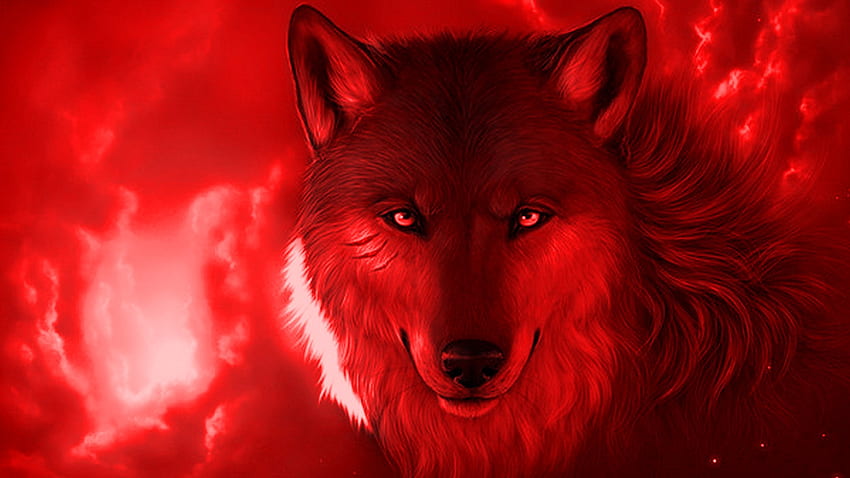 あなたの、モバイル＆タブレット用のライブコンピュータクールウルフ[]。 クールなオオカミを探る。 クールなオオカミの背景、クールなオオカミ、クールなオオカミ、アニメの黒と赤のオオカミ 高画質の壁紙