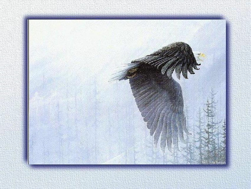 Flying Eagle, flicht, นกอินทรี, นก, ธรรมชาติ, ป่า วอลล์เปเปอร์ HD