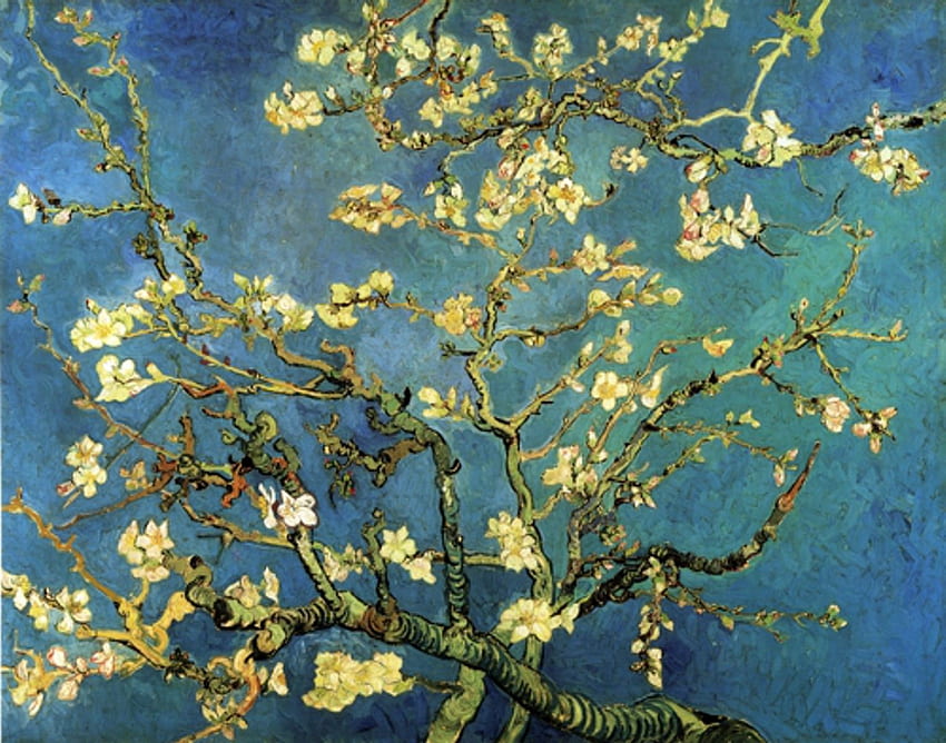 Amendoeira em flor - Quebra-cabeça de madeira, Amendoeiras em flor de Van Gogh papel de parede HD