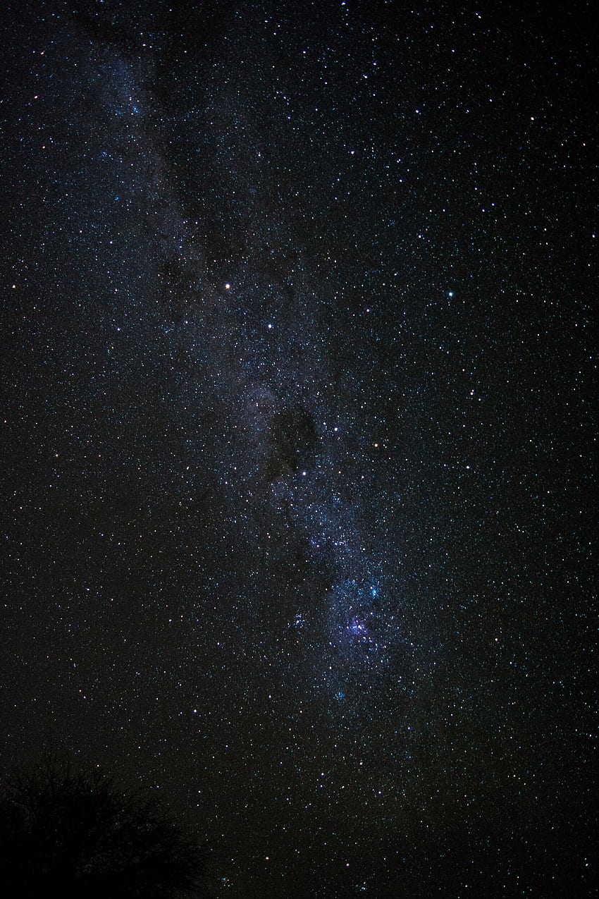 Universe, Stars, Night, Shine, Starry Sky, Brilliance, Milky Way HD phone wallpaper