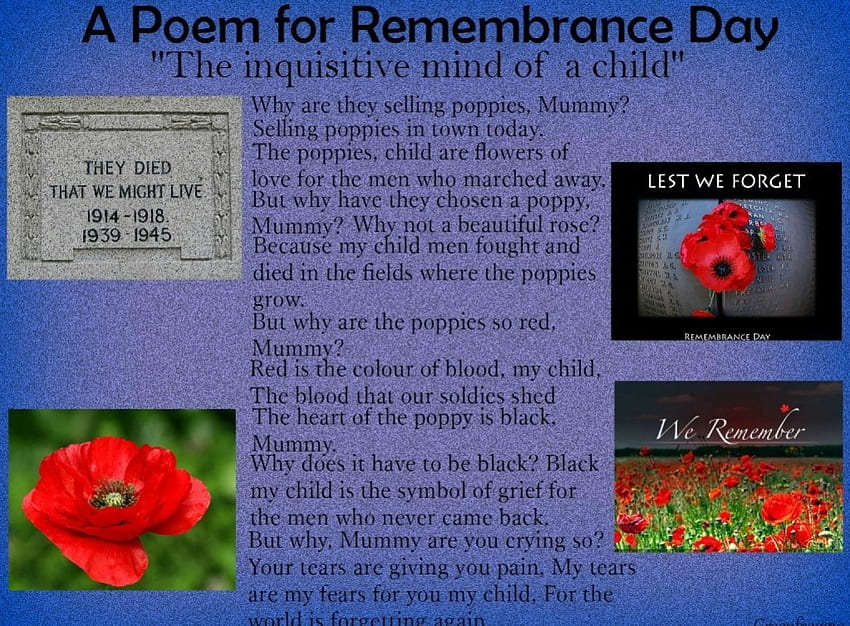 REMEMBRANCE DAY..11-11-11, DAY, CREATION, COMMENT, REMEMBRANCE HD wallpaper