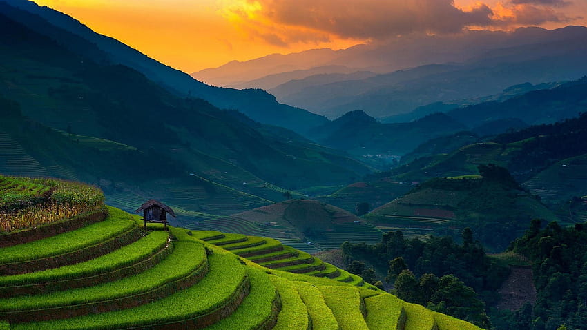 稲作、風景、地平線、山、フィリピン 高画質の壁紙