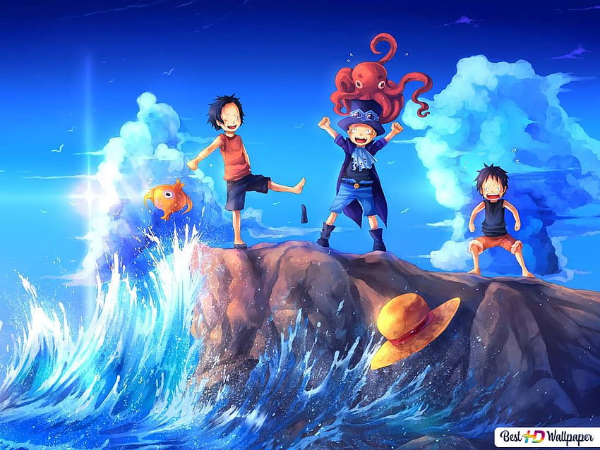 One Piece - Ace, Sabo dan Luffy - One Piece , One Piece Samsung Wallpaper HD