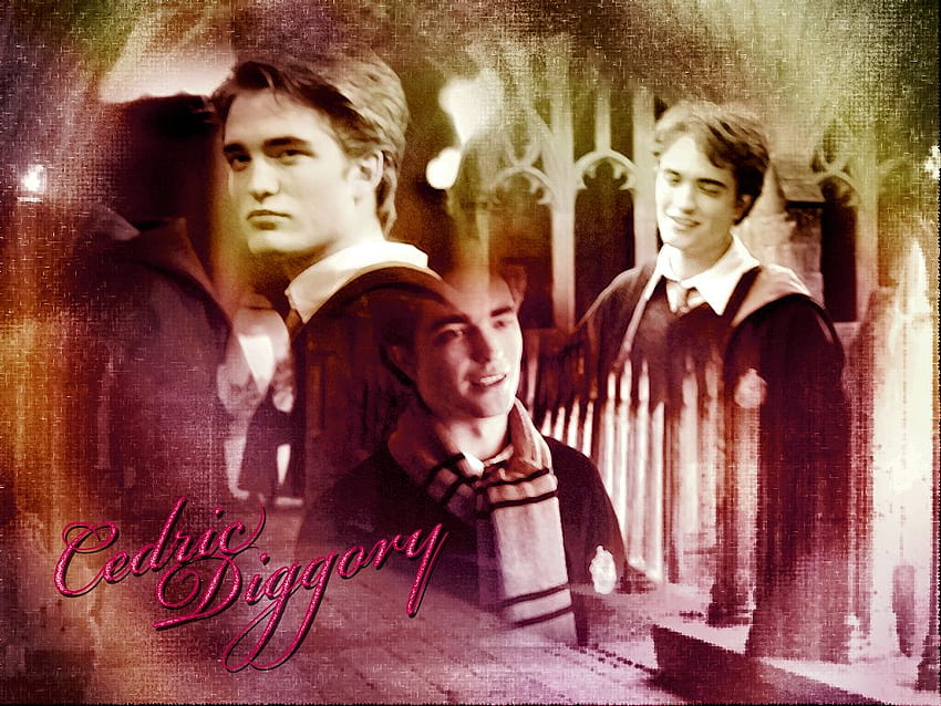 Cedric Diggory fondo de pantalla - Cedric Diggory fondo de pantalla HD wallpaper