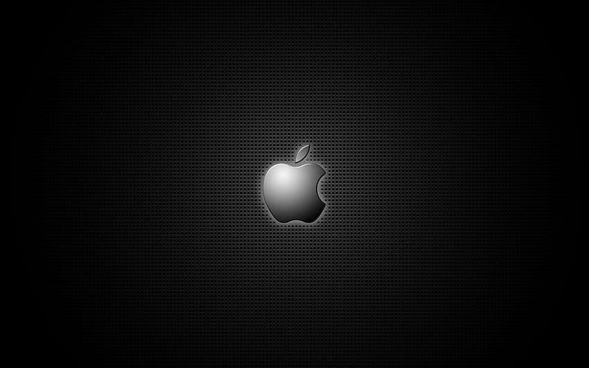 브랜드, 배경, 로고, 애플 HD 월페이퍼