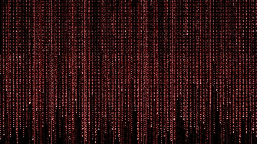 Memindahkan Kode Biner, Kode Biner Merah Wallpaper HD