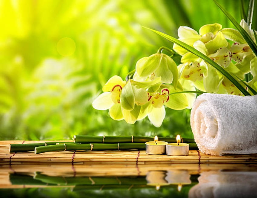 Still life with spa candles, Bamboo, Candles, Orchid, Towel HD wallpaper